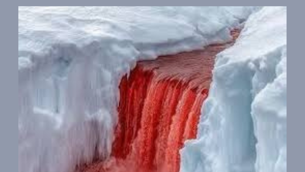 Mistero Rosso tra i Ghiacci: il Segreto delle Cascate di Sangue