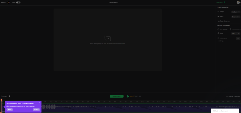 The editor