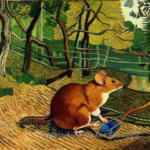A mouse was captured in a trap