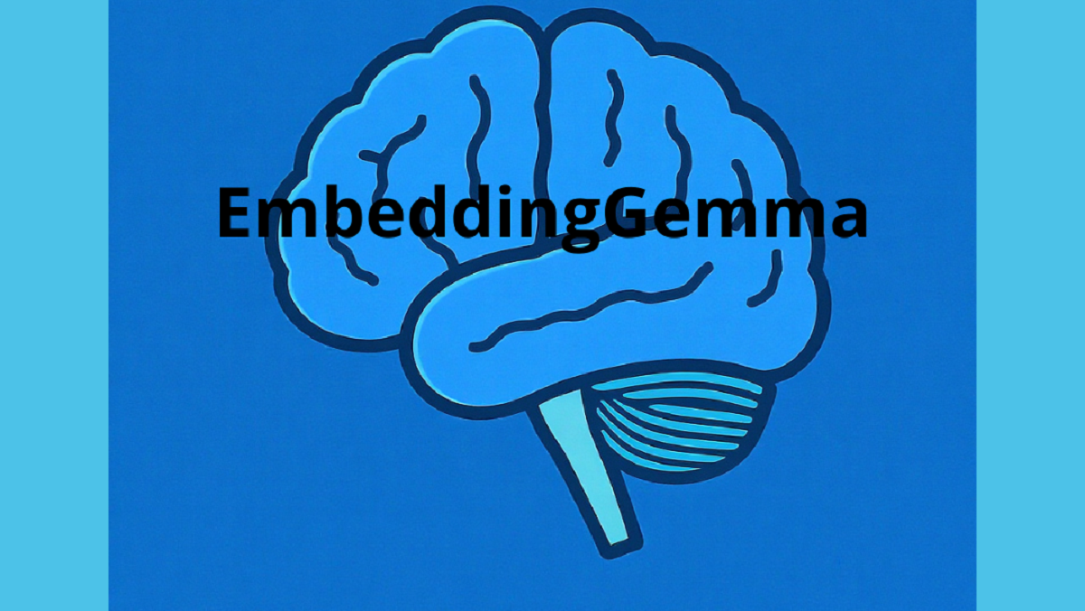 EmbeddingGemma, la bussola che orienta le correnti