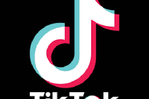 TikTok lancia AI Alive: le foto prendono vita nelle Storie