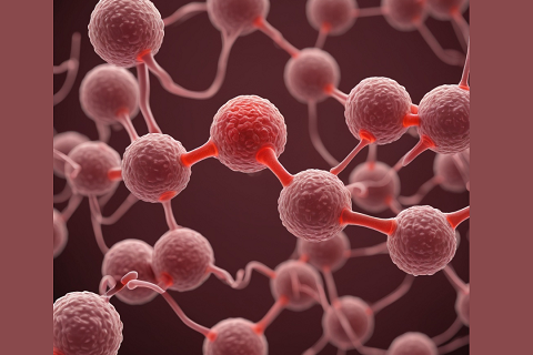 Antibiotici su misura: quando l’AI veste il camice e il bisturi è un algoritmo