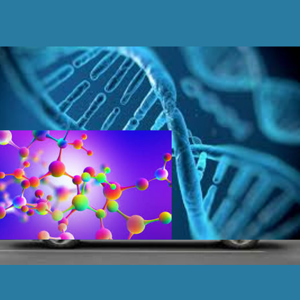 DNA e nanomateriali: un nuovo orizzonte per l’archiviazione e il calcolo dei dati