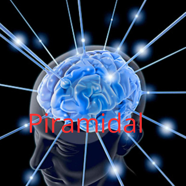 Piramidal: l’AI che cambia il monitoraggio cerebrale negli ospedali
