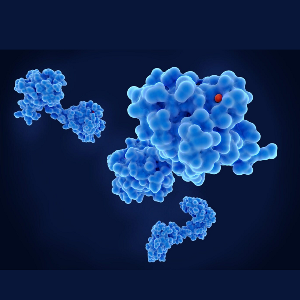Nuove frontiere nella ricerca medica grazie all’AI nella progettazione di proteine su misura