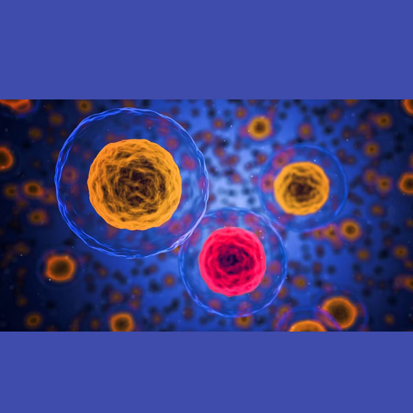 Diagnosi Oncologica su Misura con l’utilizzo dell’AI