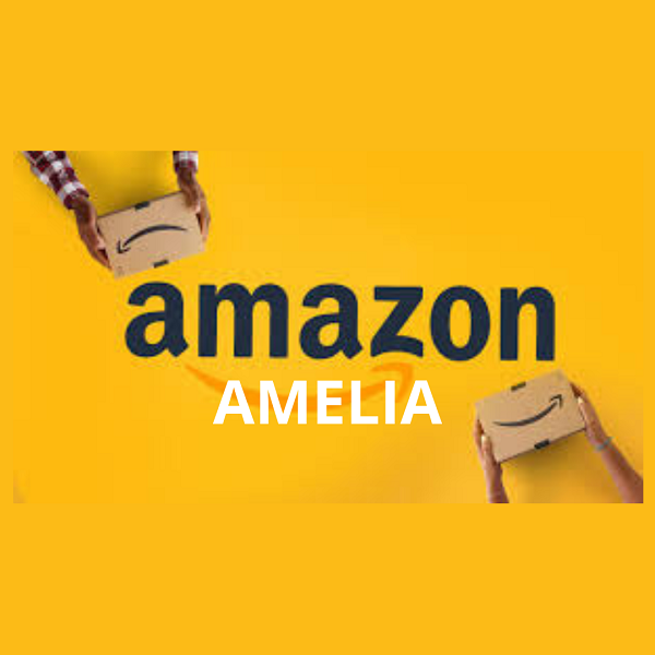 Amazon introduce un assistente AI per supportare i venditori nella gestione del business