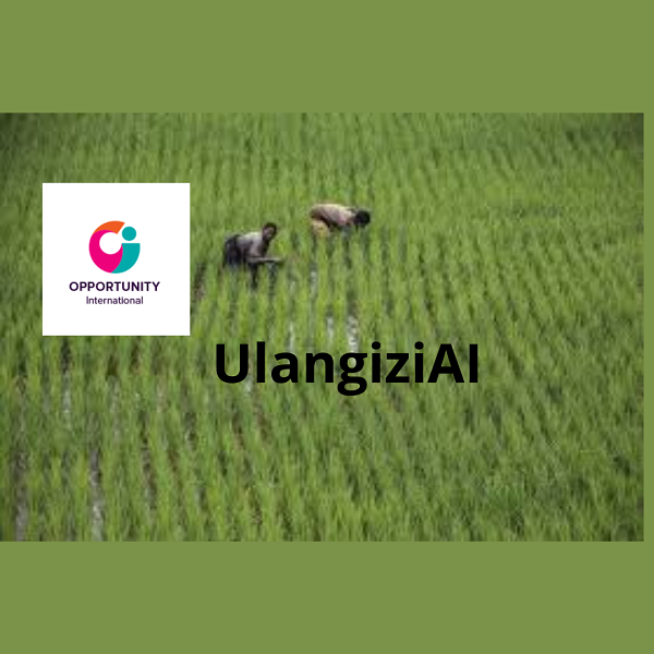 Un chatbot agricolo aiuta gli agricoltori malawiani a superare le difficoltà quotidiane