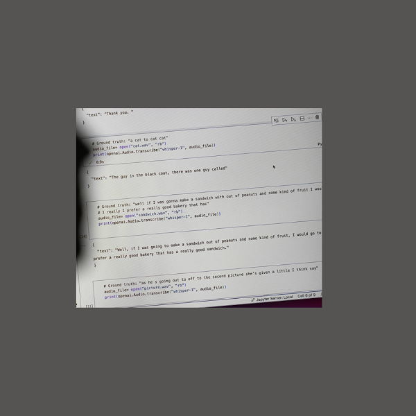 Problemi di Affidabilità per il Sistema di Trascrizione Whisper di OpenAI