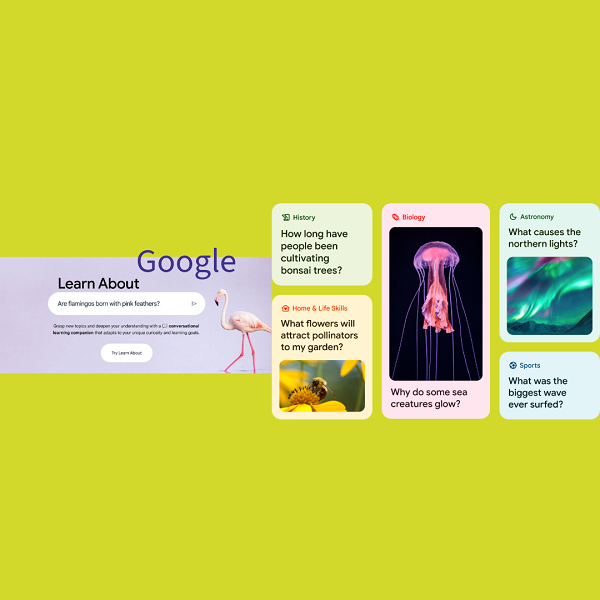 Google lancia Learn About: l’AI per un apprendimento interattivo e visivo