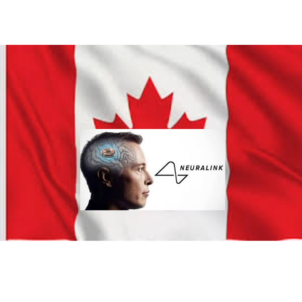 Neuralink in Canada: al via la sperimentazione per il controllo dei dispositivi tramite il pensiero