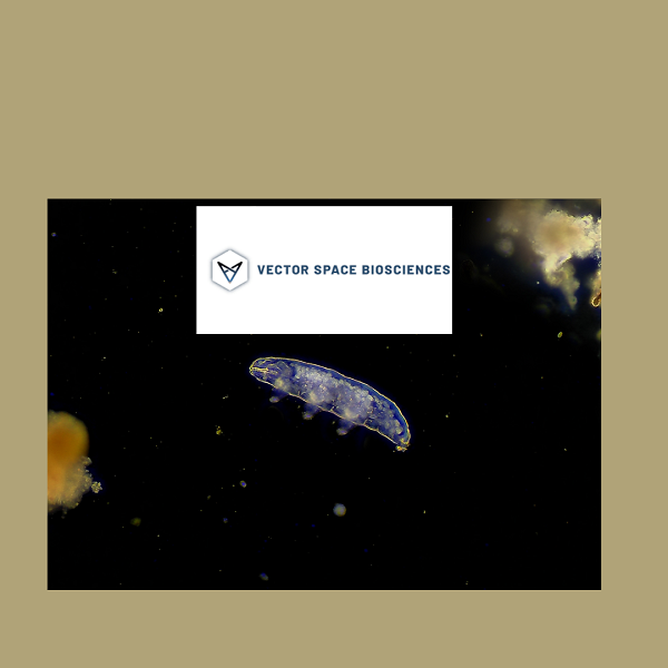 CubeSatGPT™: L’innovativa comunicazione con i satelliti spaziali per scoperte scientifiche