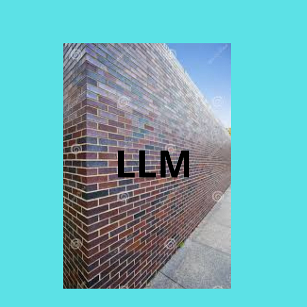 Sfide e Limiti dei Modelli Linguistici