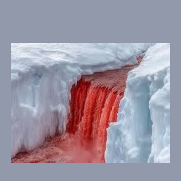 Mistero Rosso tra i Ghiacci: il Segreto delle Cascate di Sangue