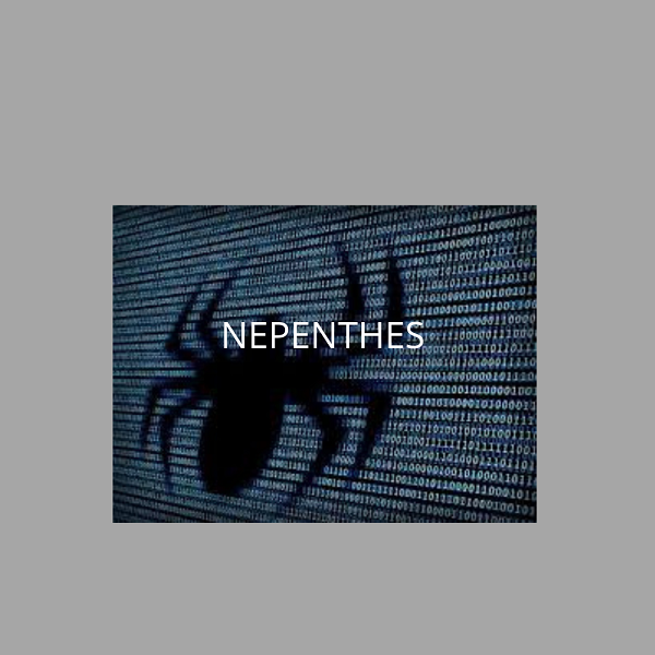 La Resistenza contro i Web Crawler AI: Nepenthes e Iocaine come Armi di Tarpitting
