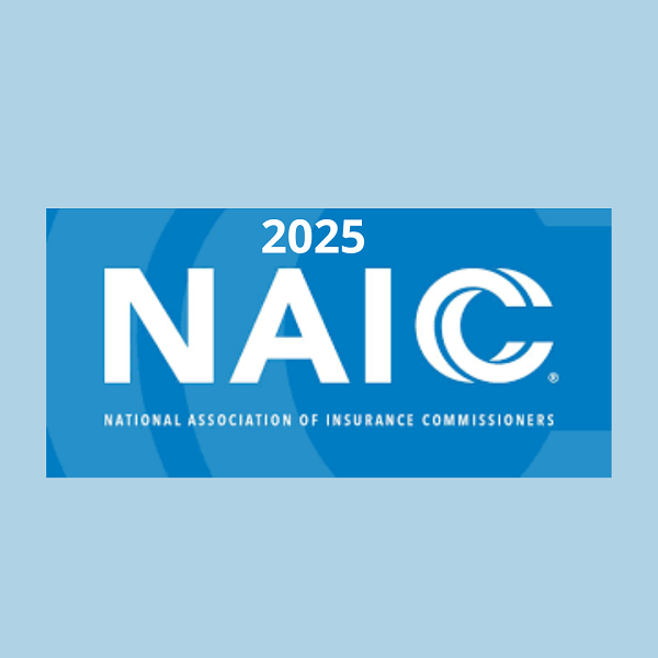 NAIC svela le iniziative strategiche per il 2025