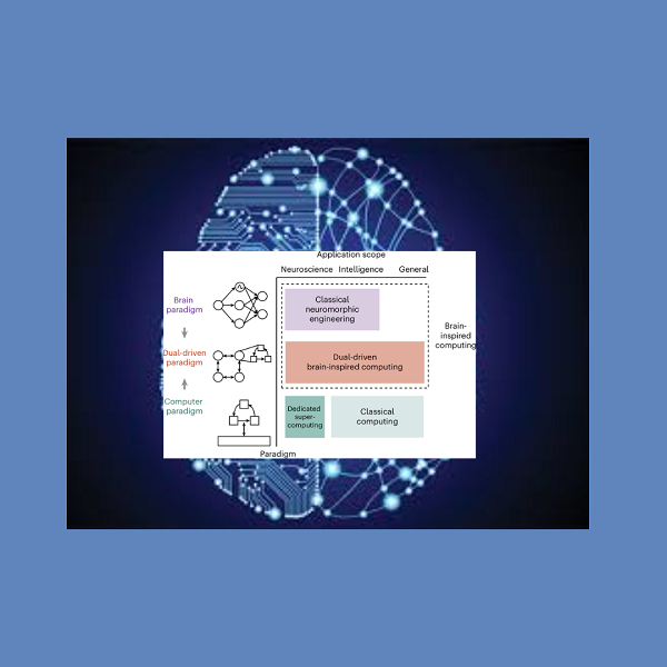 Il futuro del computing neuromorfico: efficienza e ispirazione dal cervello