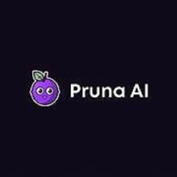 Pruna AI rende i modelli genAI più piccoli e veloci. Ed è open source