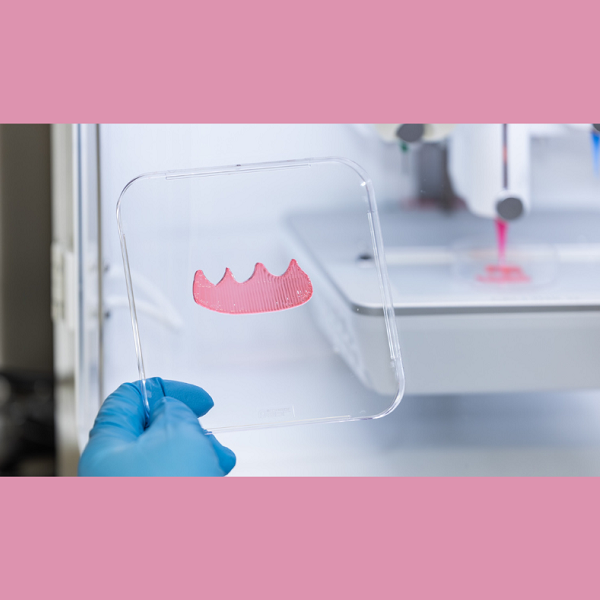 Biostampa 3D e AI per Innesti Gengivali Personalizzati: Efficienza, Precisione e Nuove Prospettive Mediche