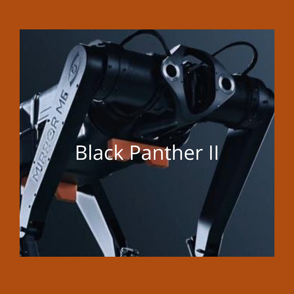 Black Panther II, il cane robot che sfida il cronometro: 100 metri in 13,17 secondi