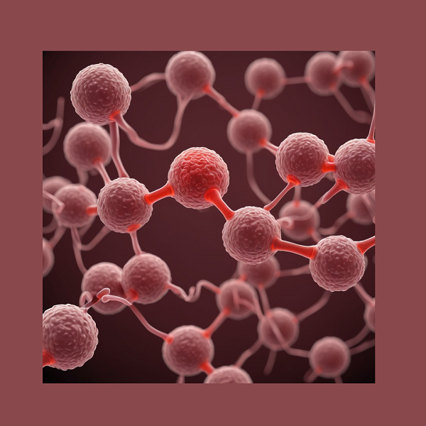 Antibiotici su misura: quando l’AI veste il camice e il bisturi è un algoritmo