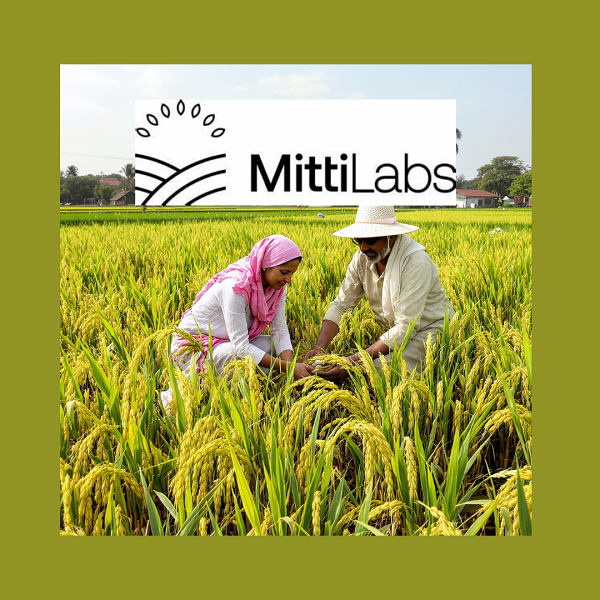 Il riso che respira meno metano