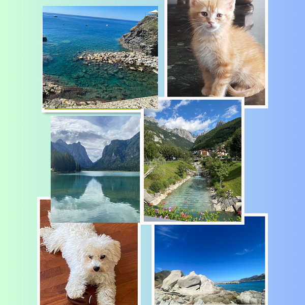 Google Foto apre a tutti gli strumenti di modifica IA