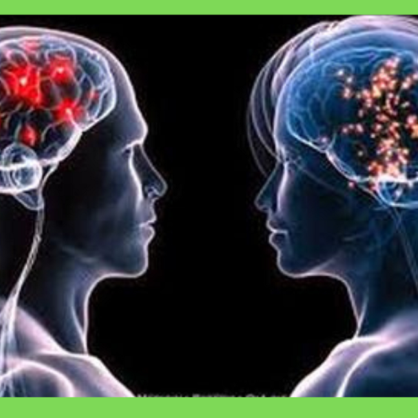 L’AI svela le differenze strutturali tra i cervelli maschili e femminili