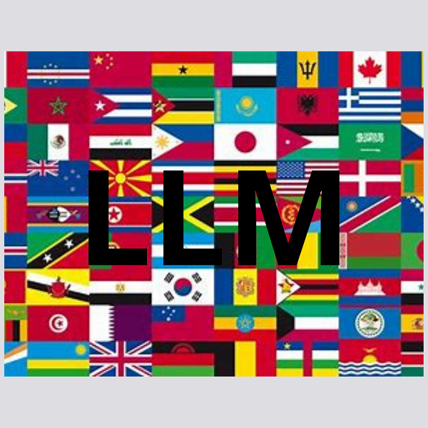 LLM Nazionali per Salvare le Lingue