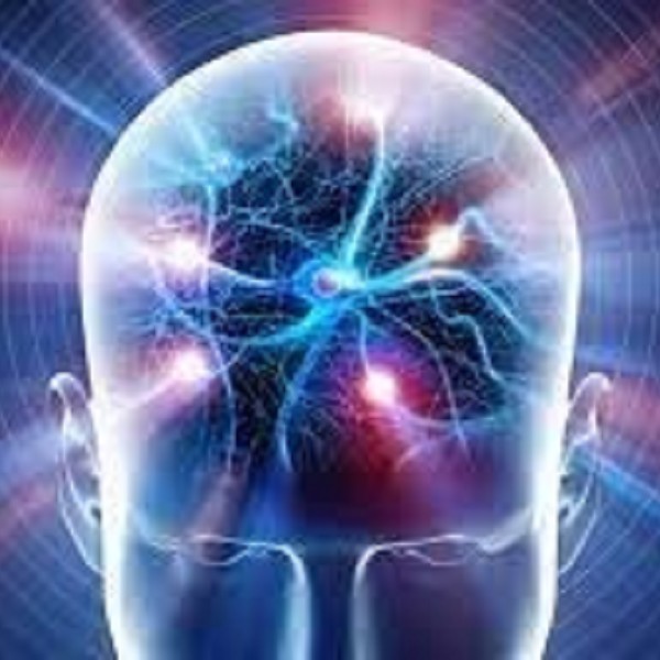 Primo Sistema di Interfaccia Brain-On-Chip a Livello Mondiale