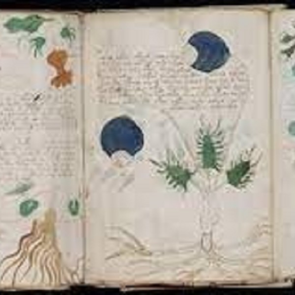 Il Mistero del Manoscritto Voynich: Un Enigma Irrisolvibile tra Esoterismo e Crittografia