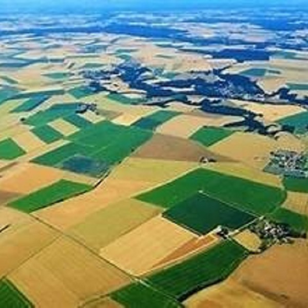 Agritech: Innovazione e Sostenibilità per il Futuro dell’Agricoltura Italiana