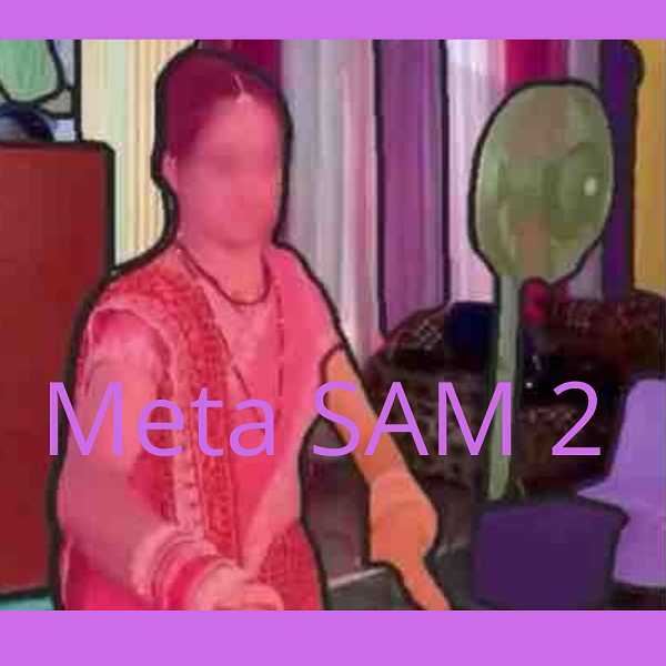 Meta SAM 2 per la segmentazione in tempo reale di immagini e video