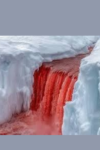 Mistero Rosso tra i Ghiacci: il Segreto delle Cascate di Sangue