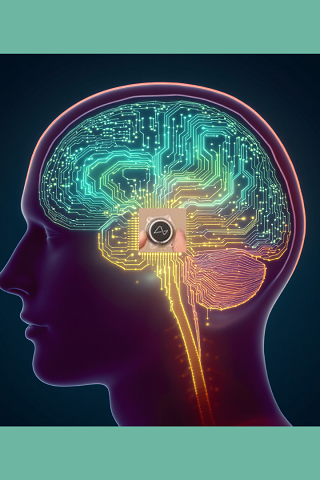 Tra neuroni e silicio: la nuova vita di Noland Arbaugh