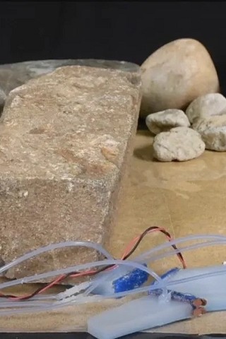 Robotica morbida: innovazioni sorprendenti dai ricercatori di Yale